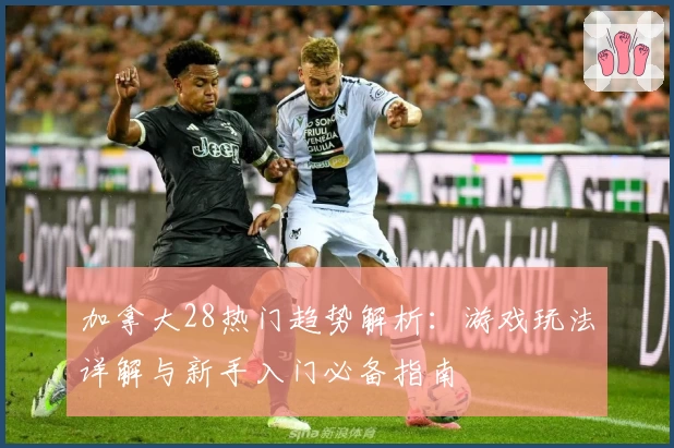 加拿大28热门趋势解析：游戏玩法详解与新手入门必备指南