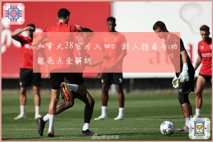 加拿大28官方入口：新人指南与功能亮点全解析