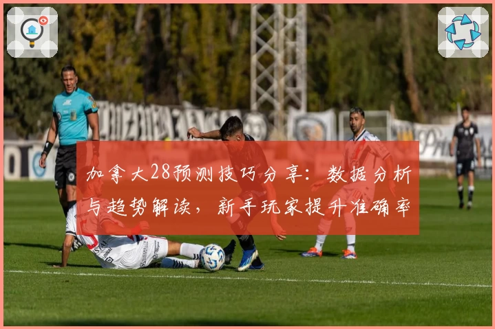 加拿大28预测技巧分享：数据分析与趋势解读，新手玩家提升准确率的实用指南