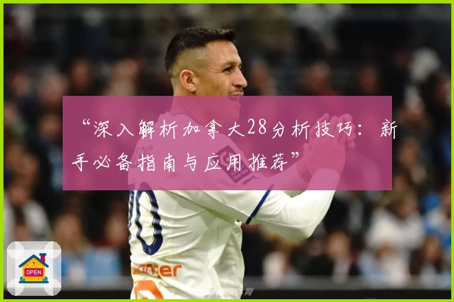 “深入解析加拿大28分析技巧：新手必备指南与应用推荐”