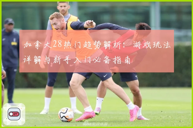 加拿大28热门趋势解析：游戏玩法详解与新手入门必备指南