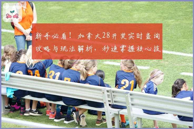 新手必看！加拿大28开奖实时查询攻略与玩法解析，秒速掌握核心技巧