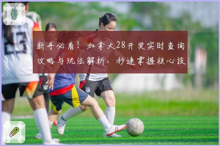 新手必看！加拿大28开奖实时查询攻略与玩法解析，秒速掌握核心技巧