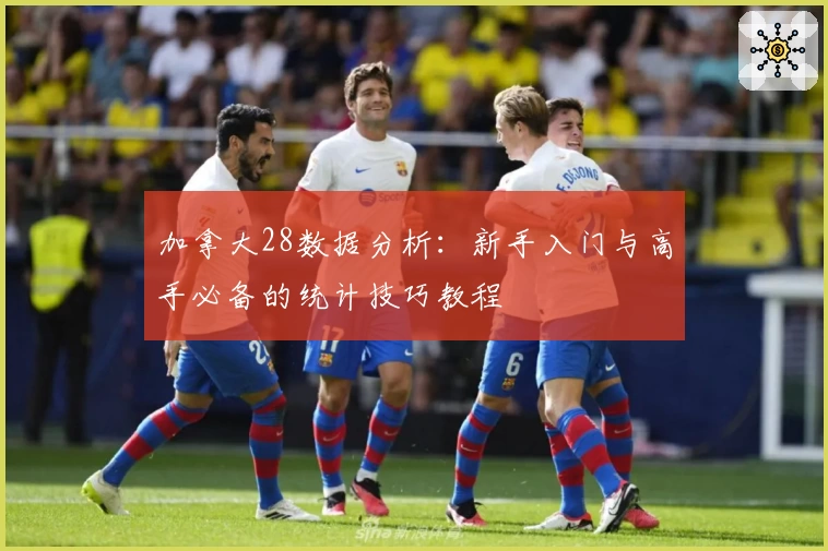 加拿大28数据分析：新手入门与高手必备的统计技巧教程