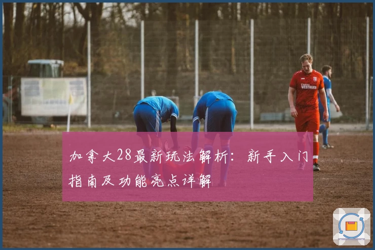 加拿大28最新玩法解析：新手入门指南及功能亮点详解