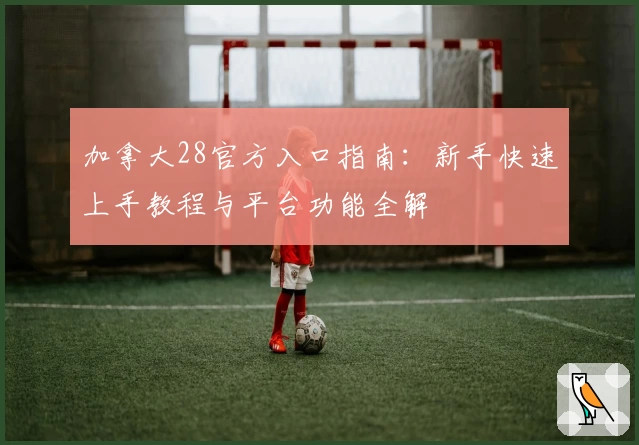 加拿大28官方入口指南：新手快速上手教程与平台功能全解