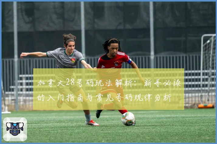 加拿大28号码玩法解析：新手必读的入门指南与常见号码规律分析