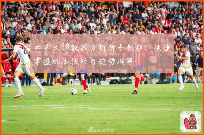 加拿大28数据分析新手教程：快速掌握玩法技巧与趋势洞察