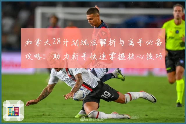 加拿大28计划玩法解析与高手必备攻略：助力新手快速掌握核心技巧