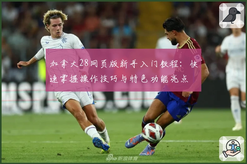 加拿大28网页版新手入门教程:快速掌握操作技巧与特色功能亮点