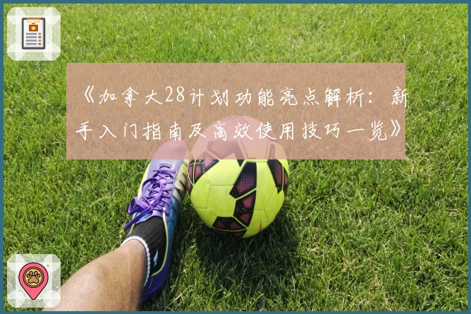 《加拿大28计划功能亮点解析：新手入门指南及高效使用技巧一览》