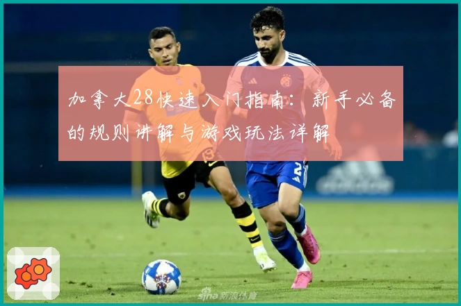 加拿大28快速入门指南：新手必备的规则讲解与游戏玩法详解