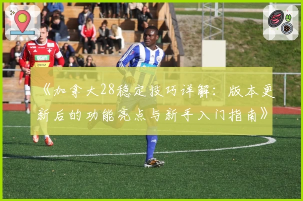《加拿大28稳定技巧详解：版本更新后的功能亮点与新手入门指南》