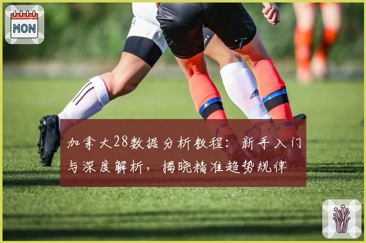 加拿大28数据分析教程：新手入门与深度解析，揭晓精准趋势规律