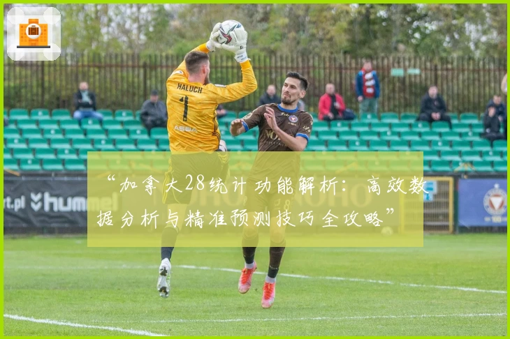“加拿大28统计功能解析:高效数据分析与精准预测技巧全攻略”