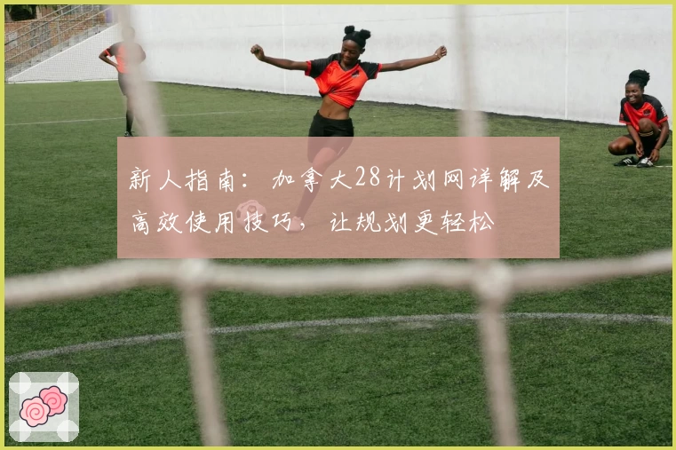 新人指南：加拿大28计划网详解及高效使用技巧，让规划更轻松
