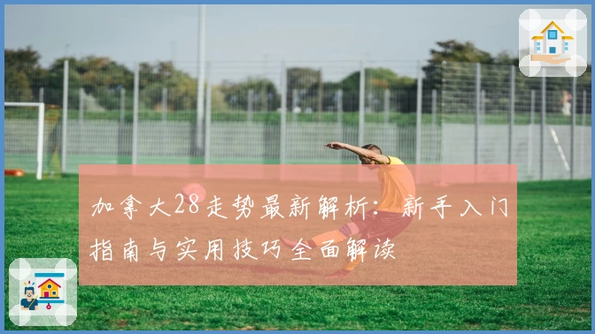 加拿大28走势最新解析：新手入门指南与实用技巧全面解读
