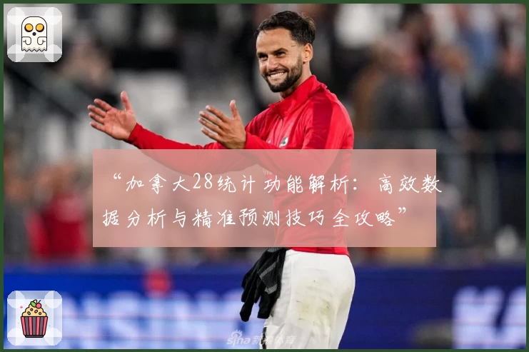 “加拿大28统计功能解析：高效数据分析与精准预测技巧全攻略”