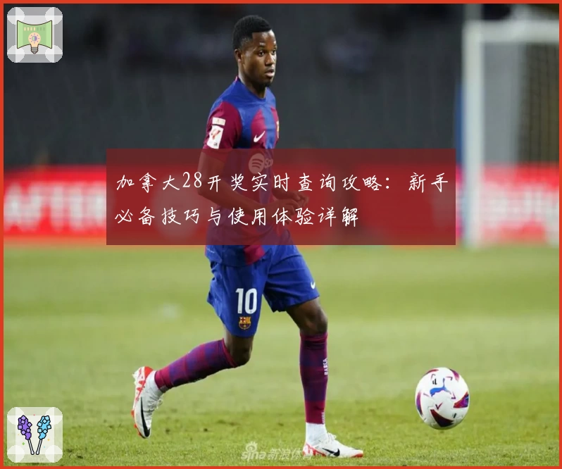 加拿大28开奖实时查询攻略：新手必备技巧与使用体验详解