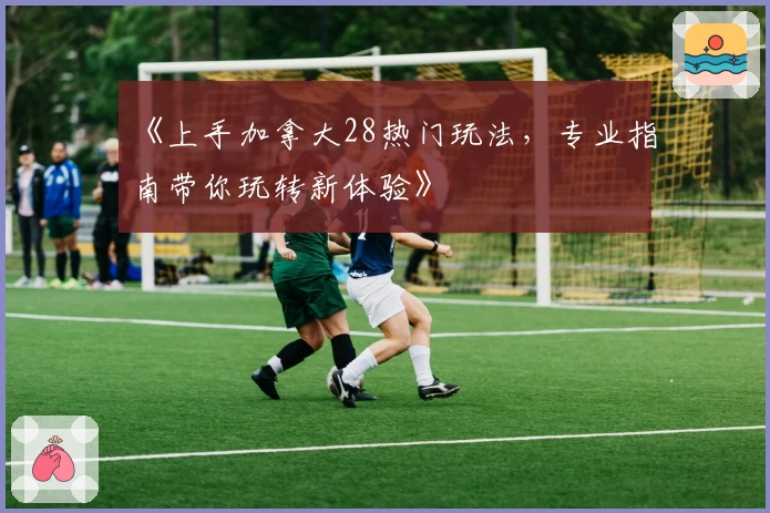 《上手加拿大28热门玩法，专业指南带你玩转新体验》