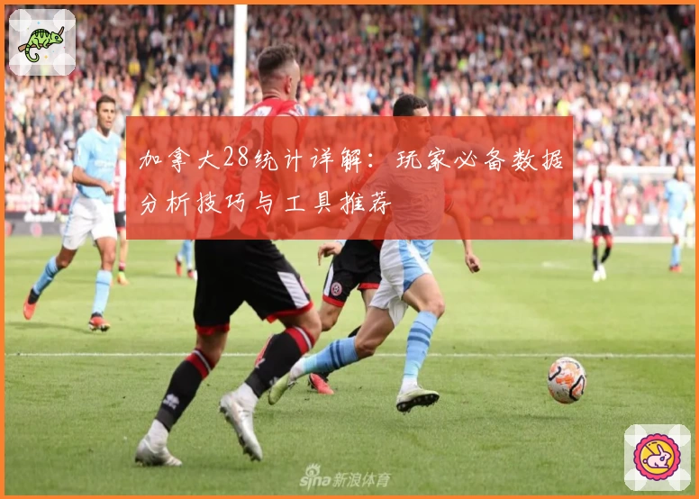 加拿大28统计详解：玩家必备数据分析技巧与工具推荐