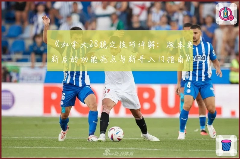 《加拿大28稳定技巧详解：版本更新后的功能亮点与新手入门指南》