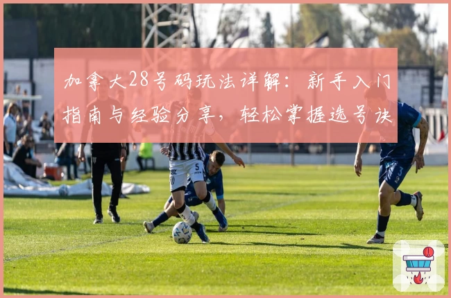 加拿大28号码玩法详解：新手入门指南与经验分享，轻松掌握选号诀窍