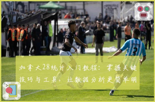 加拿大28统计入门教程：掌握关键技巧与工具，让数据分析更简单明了