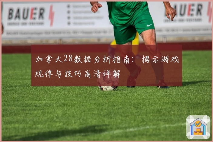 加拿大28数据分析指南：揭示游戏规律与技巧高清详解