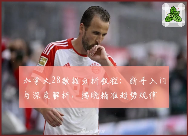 加拿大28数据分析教程:新手入门与深度解析,揭晓精准趋势规律