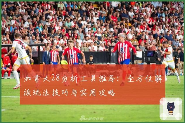 加拿大28分析工具推荐：全方位解读玩法技巧与实用攻略