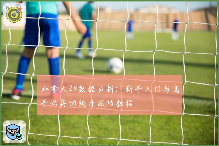 加拿大28数据分析:新手入门与高手必备的统计技巧教程