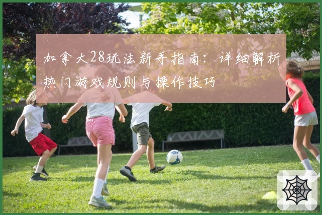 加拿大28玩法新手指南：详细解析热门游戏规则与操作技巧