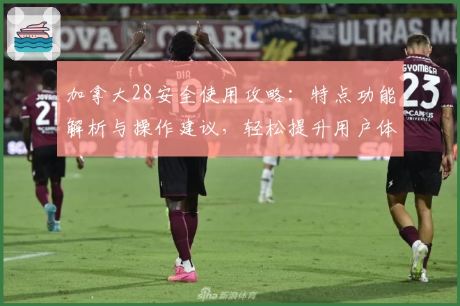 加拿大28安全使用攻略：特点功能解析与操作建议，轻松提升用户体验