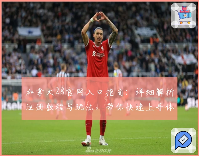 加拿大28官网入口指南：详细解析注册教程与玩法，带你快速上手体验可靠平台