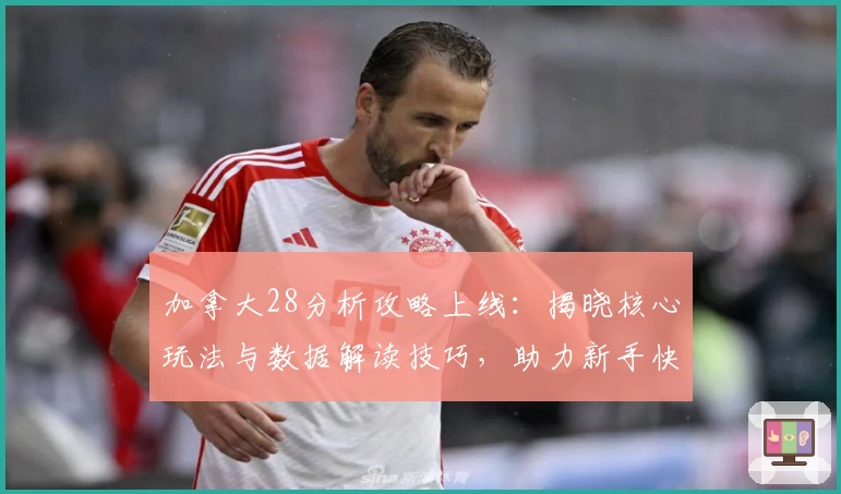 加拿大28分析攻略上线：揭晓核心玩法与数据解读技巧，助力新手快速掌握精髓