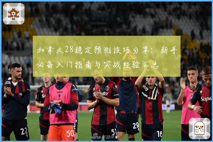 加拿大28稳定预测技巧分享:新手必备入门指南与实战经验汇总