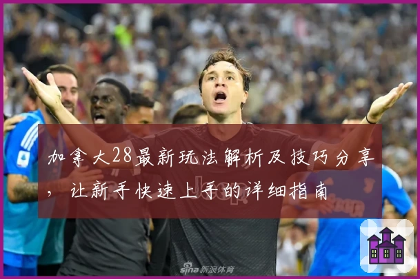 加拿大28最新玩法解析及技巧分享,让新手快速上手的详细指南