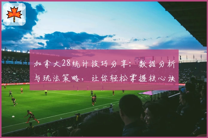 加拿大28统计技巧分享：数据分析与玩法策略，让你轻松掌握核心诀窍