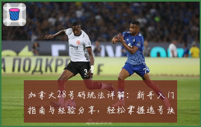 加拿大28号码玩法详解：新手入门指南与经验分享，轻松掌握选号诀窍