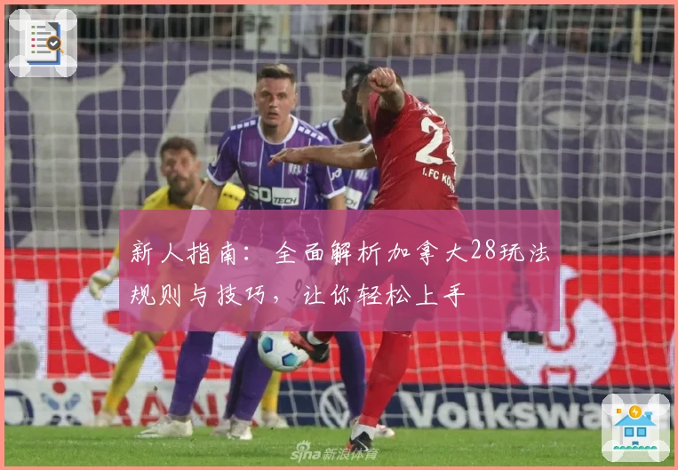 新人指南：全面解析加拿大28玩法规则与技巧，让你轻松上手