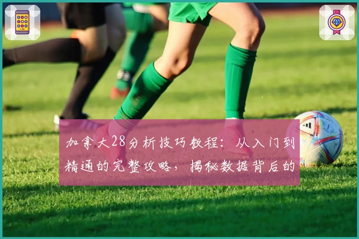 加拿大28分析技巧教程：从入门到精通的完整攻略，揭秘数据背后的规律与操作方法