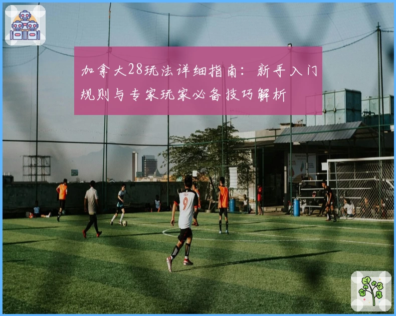 加拿大28玩法详细指南：新手入门规则与专家玩家必备技巧解析