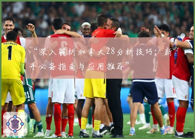 “深入解析加拿大28分析技巧：新手必备指南与应用推荐”