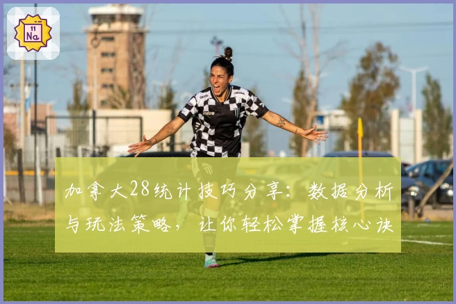 加拿大28统计技巧分享：数据分析与玩法策略，让你轻松掌握核心诀窍
