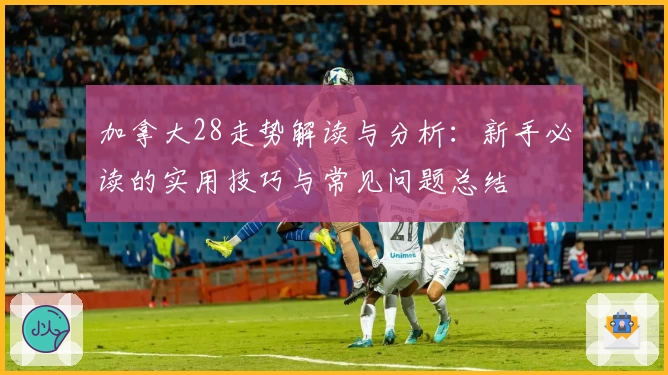 加拿大28走势解读与分析：新手必读的实用技巧与常见问题总结