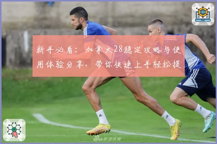 新手必看：加拿大28稳定攻略与使用体验分享，带你快速上手轻松提升胜率