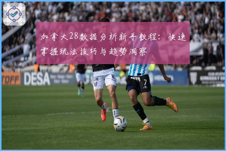 加拿大28数据分析新手教程：快速掌握玩法技巧与趋势洞察