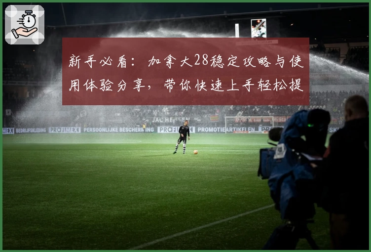 新手必看：加拿大28稳定攻略与使用体验分享，带你快速上手轻松提升胜率