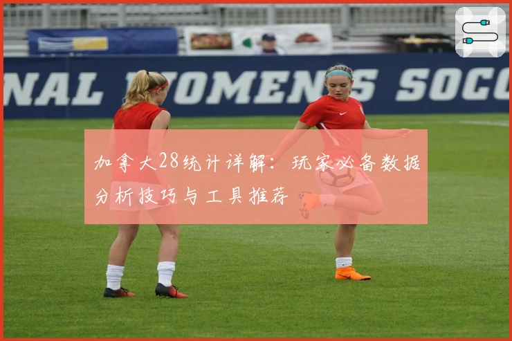 加拿大28统计详解：玩家必备数据分析技巧与工具推荐